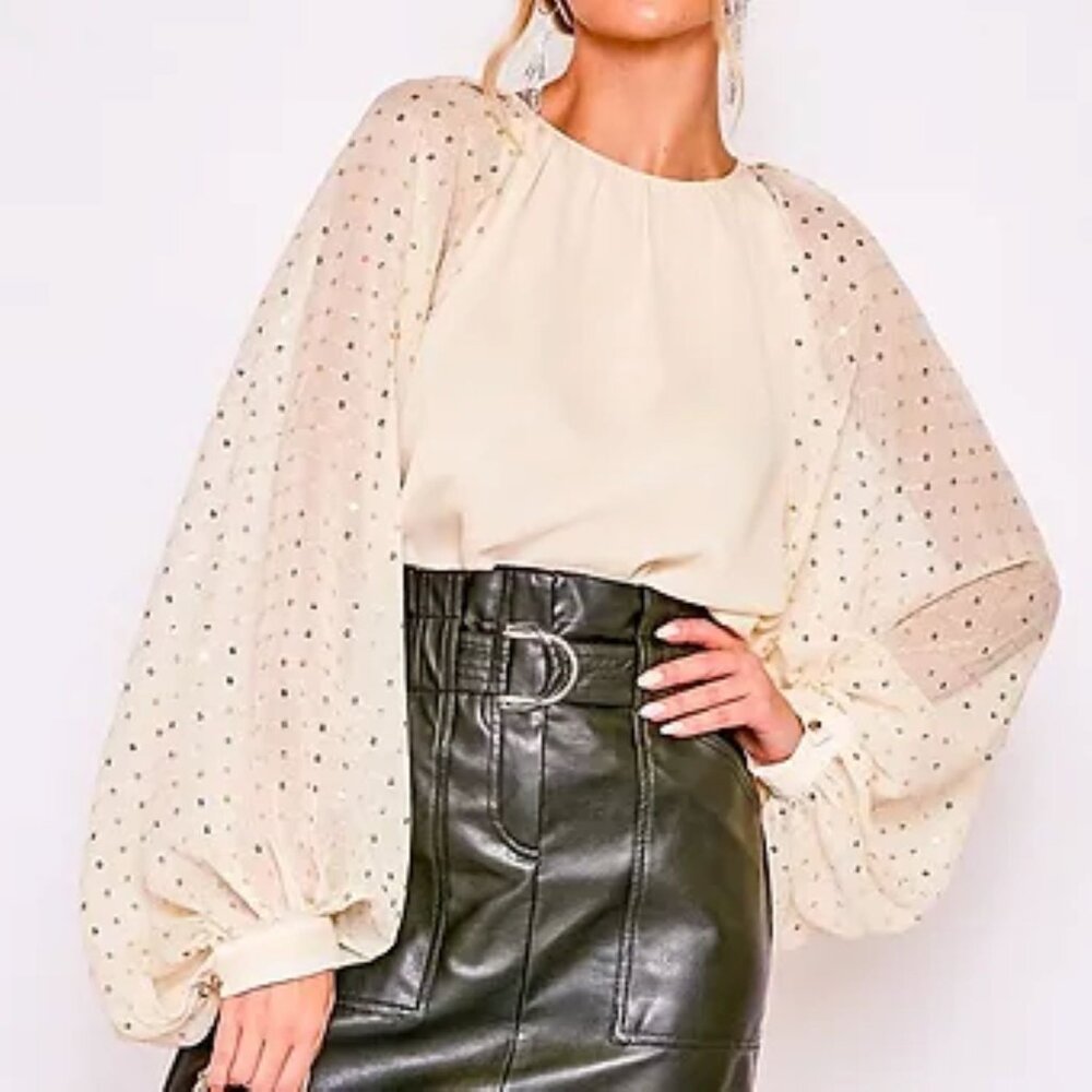 Sequin Sleeved Blouse